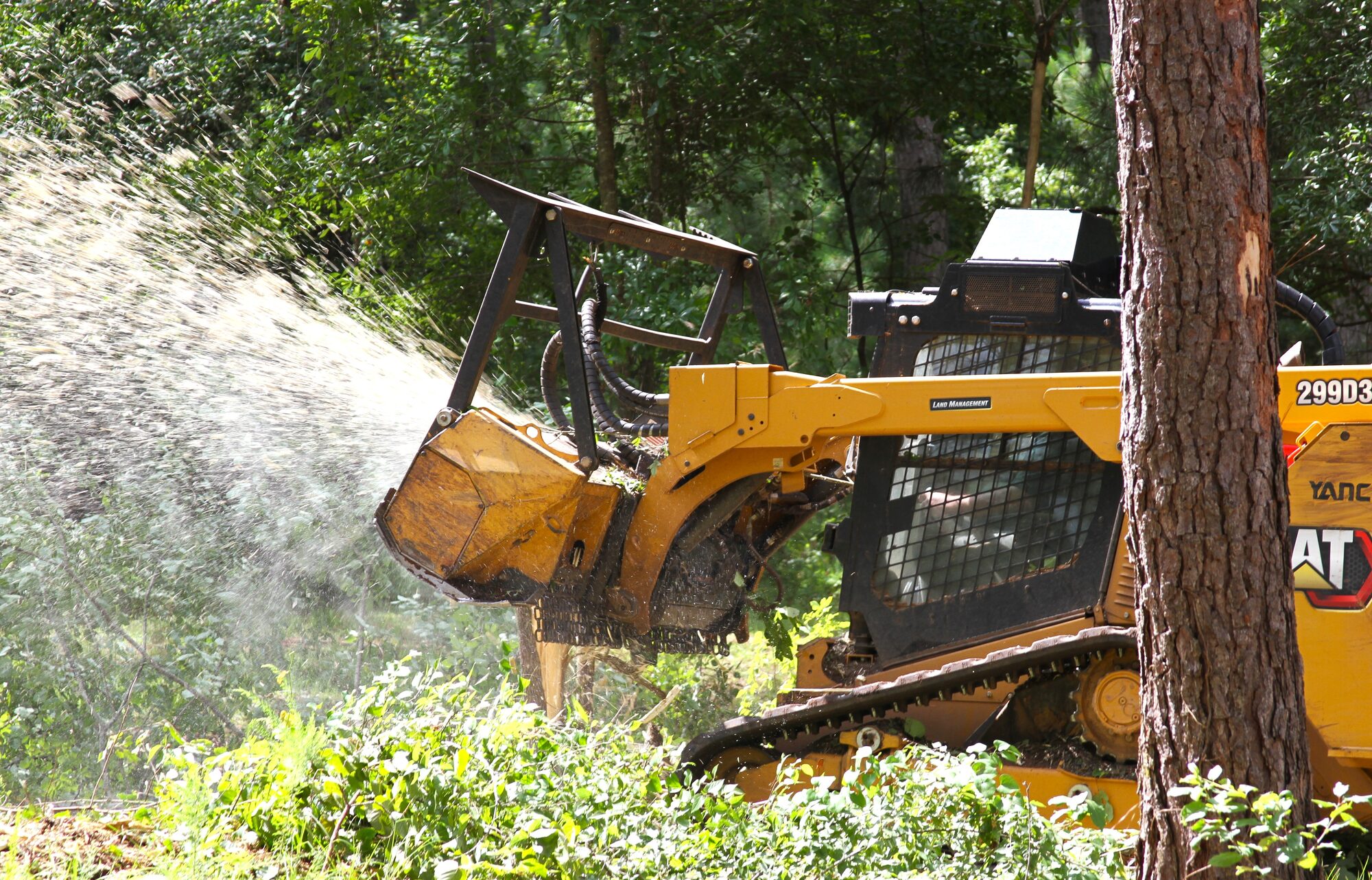 Flatline Forestry land clearing & mulching project