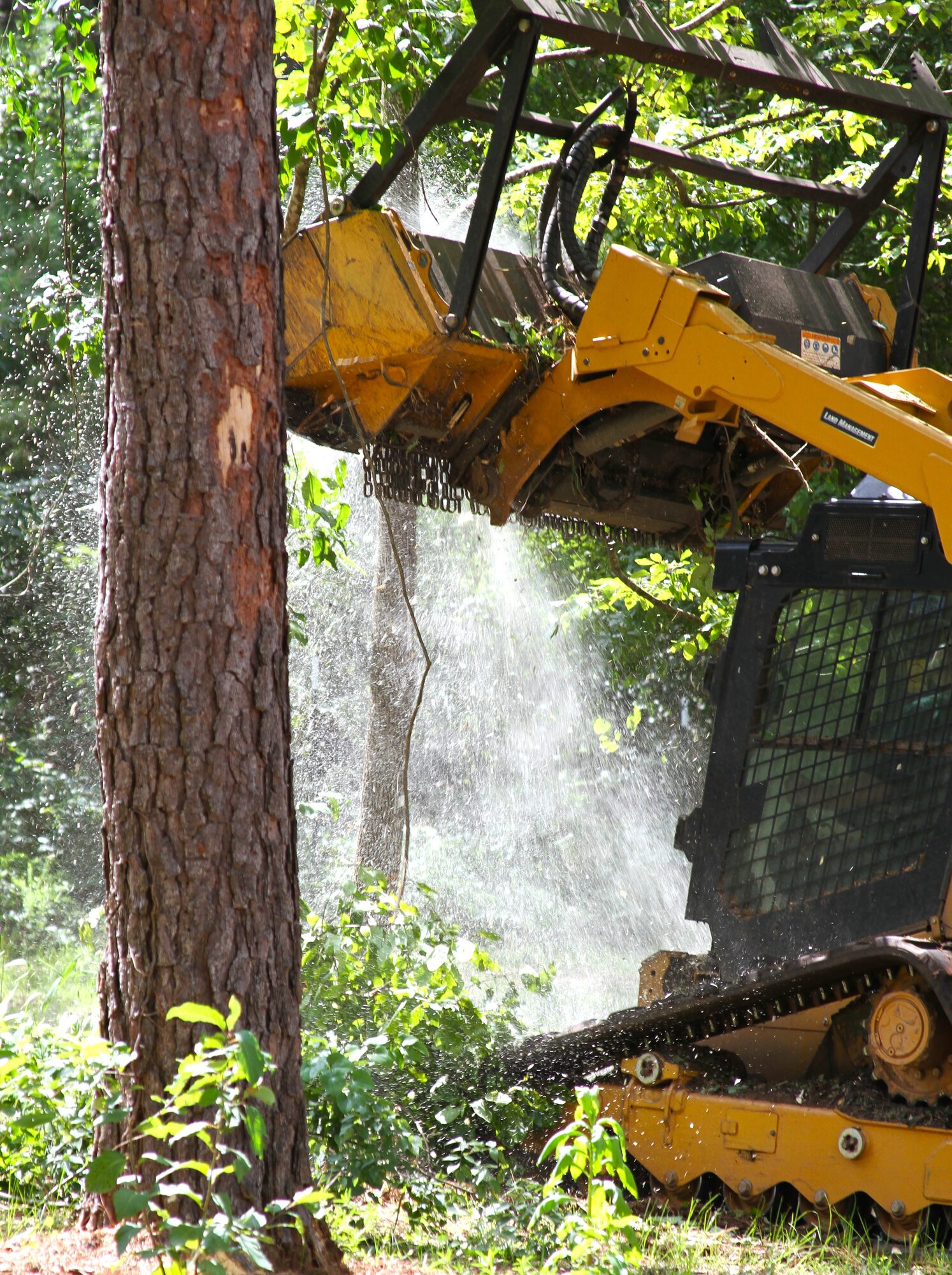 Flatline Forestry land clearing & mulching project