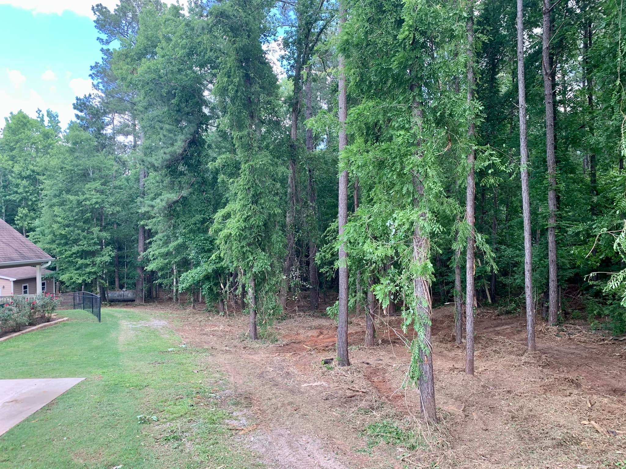 Flatline Forestry land clearing & mulching project